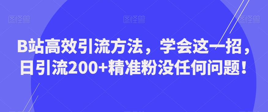 B站高效引流方法，学会这一招，日引流200+精准粉没任何问题【揭秘】_在线视频课程下载-51分享网