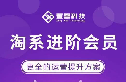 星雪·淘系进阶课程，快速提升突破技能流量瓶颈必备（更新2023年5月）_在线视频课程下载-51分享网