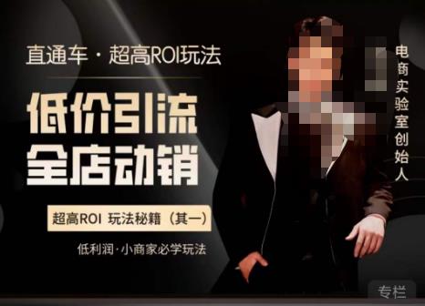 电商冰可乐·直通车·《低价引流·全店动销》，直通车·超高ROI玩法（其一）全店动销必学玩法_在线视频课程下载-51分享网