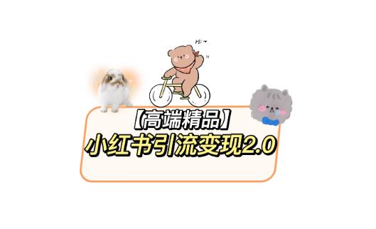 小红书最新引流变现教程，全网最新最详细的视频教程以及素材_在线视频课程下载-51分享网