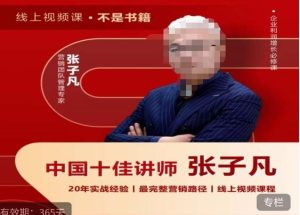 张子凡·20年实战经验,揭秘营销背后的底层逻辑,突破思维局限,从根本上破解营销难题_在线视频课程下载-51分享网