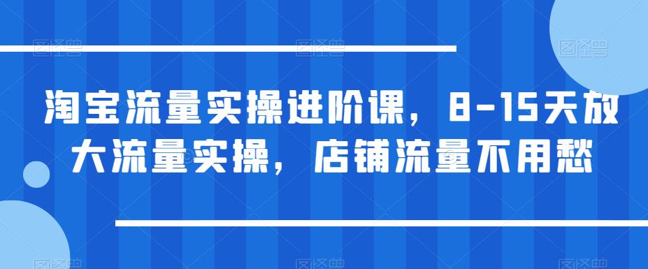 淘宝流量实操进阶课，8-15天放大流量实操，店铺流量不用愁_在线视频课程下载-51分享网