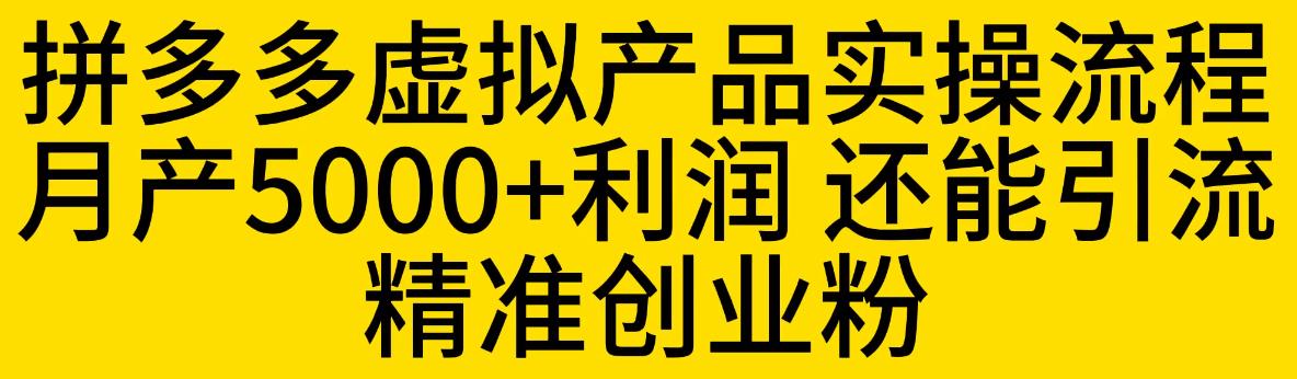 拼多多虚拟产品实操流程，月产5000+利润，还能引流精准创业粉_在线视频课程下载-51分享网
