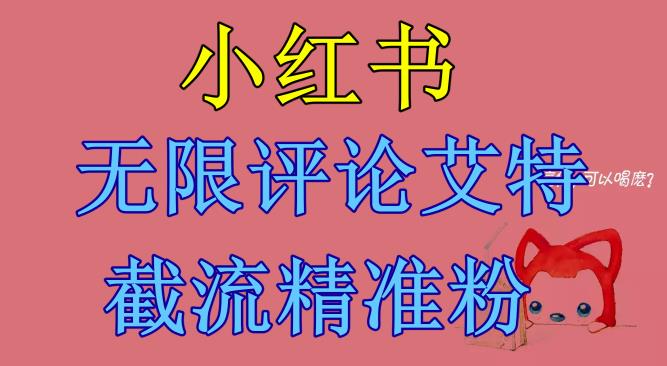小红书无限评论艾特截流精准粉（软件+教程）_在线视频课程下载-51分享网
