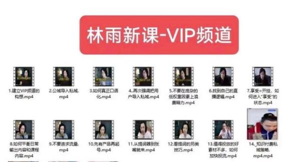 林雨新课VIP频道，玩赚私域/朋友圈/社群_在线视频课程下载-51分享网