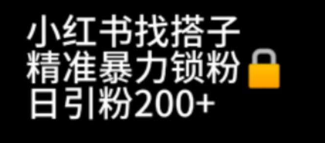 小红书找搭子暴力精准锁粉+引流日引200+精准粉_在线视频课程下载-51分享网
