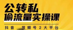 群响公转私偷流量实操课,致力于拥有更多自持,持续,稳定,精准的私域流量!_在线视频课程下载-51分享网
