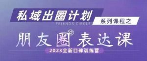 私域出圈计划系列课程之朋友圈表达课,2023全新口碑训练营_在线视频课程下载-51分享网