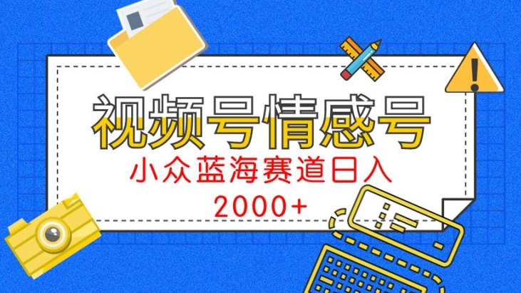视频号情感号小众蓝海赛道，每天一小时，日入3000+_在线视频课程下载-51分享网