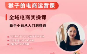 猴子电商小红书电商运营课,从入门到精通,全域电商实操课_在线视频课程下载-51分享网