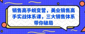 销售高手蜕变营,美业销售高手实战体系课,三大销售体系带你破局_在线视频课程下载-51分享网
