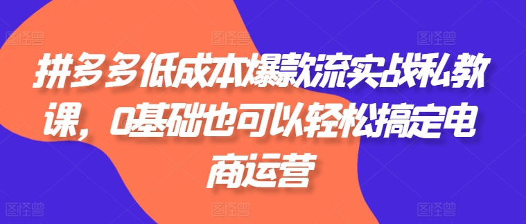 拼多多低成本爆款流实战私教课，0基础也可以轻松搞定电商运营_在线视频课程下载-51分享网