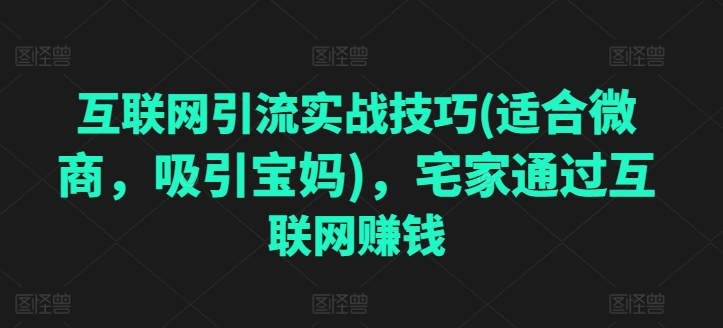 互联网引流实战技巧(适合微商，吸引宝妈)，宅家通过互联网赚钱_在线视频课程下载-51分享网