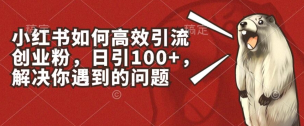 小红书如何高效引流创业粉，日引100+，解决你遇到的问题【揭秘】_在线视频课程下载-51分享网