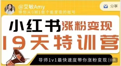 艾敏19天小红书涨粉变现特训营-第7期，快速学会小红书涨粉，月入十万轻松变现!_在线视频课程下载-51分享网