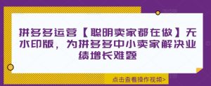 拼多多运营【聪明卖家都在做】无水印版,为拼多多中小卖家解决业绩增长难题_在线视频课程下载-51分享网