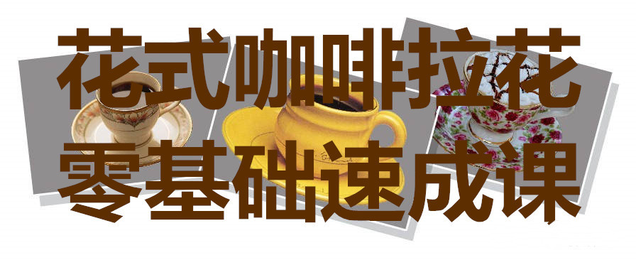 花式咖啡拉花零基础速成课_在线视频课程下载-51分享网