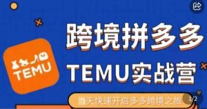 大鹏出海·拼多多跨境temu运营指导,开店注册+选品+核价上架,日出千单实战课_在线视频课程下载-51分享网