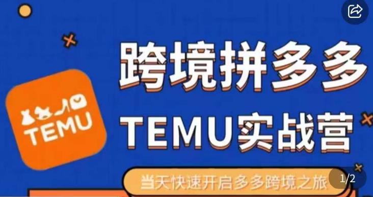 大鹏出海·拼多多跨境temu运营指导，开店注册+选品+核价上架，日出千单实战课_在线视频课程下载-51分享网