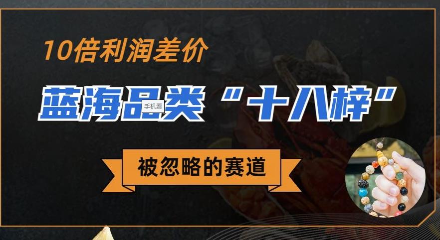 被忽略的蓝海品类“十八籽”，10倍的利润差价，同行一天几十单_在线视频课程下载-51分享网