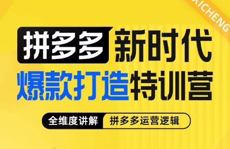 玺承·拼多多新时代爆款打造特训营，全维度讲解拼多多运营逻辑_在线视频课程下载-51分享网