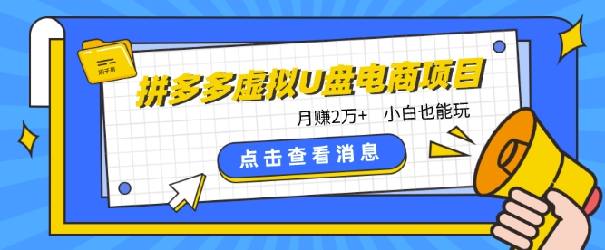 拼多多虚拟U盘电商红利项目：月赚2万+，新手小白也能玩_在线视频课程下载-51分享网