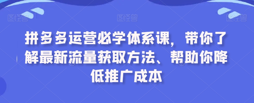 拼多多运营必学体系课流量获取方法_在线视频课程下载-51分享网
