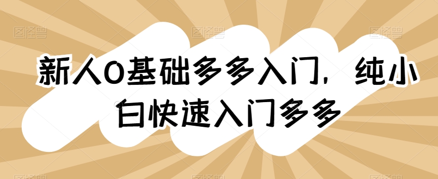 0基础拼多多入门，​纯小白快速入门多多_在线视频课程下载-51分享网