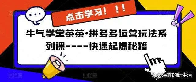 牛气学堂茶茶•拼多多运营玩法系列课_在线视频课程下载-51分享网