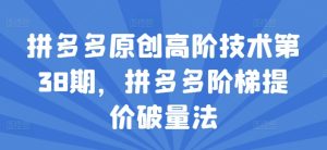 拼多多原创高阶技术第38期,拼多多阶梯提价破量法_在线视频课程下载-51分享网