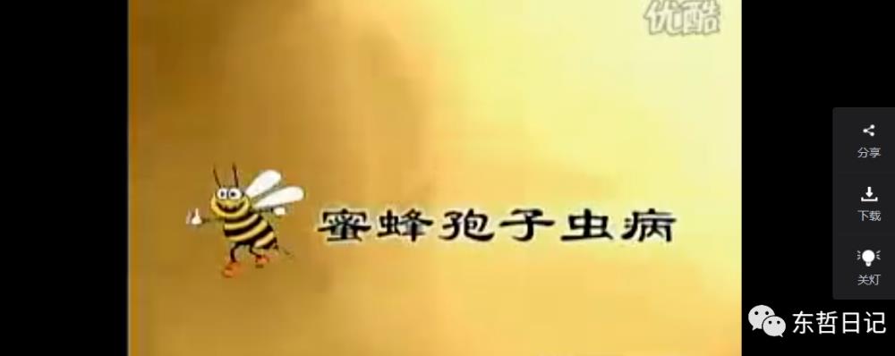 图片[4]_在线视频课程下载-东哲日记：全网首创实物虚拟电商项目，速来捡钱，成本低，一单赚几十块！_在线视频课程下载-51分享网