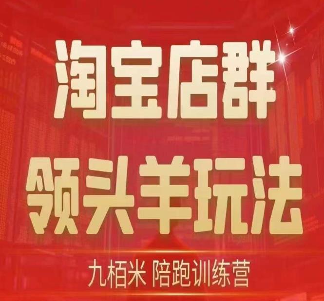 九栢米-淘宝店群领头羊玩法，教你整个淘宝店群领头羊玩法以及精细化/终极蓝海/尾销等内容_在线视频课程下载-51分享网