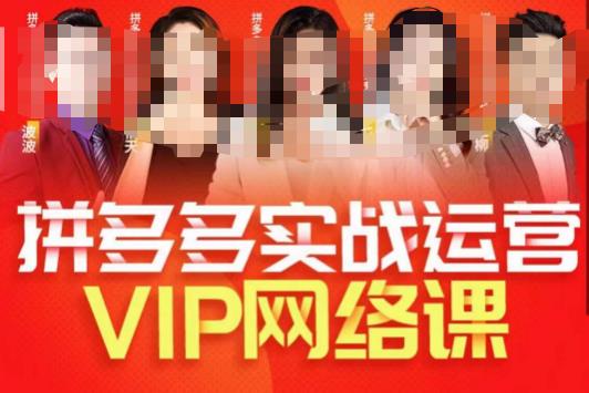 图片[1]_在线视频课程下载-推易拼多多VIP全套直播课程，拼多多店铺实操玩法+实战玩法选款内功+直通车高阶等_在线视频课程下载-51分享网