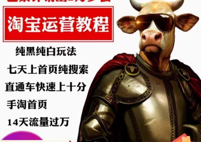 图片[1]_在线视频课程下载-猫老师·淘系算法逆向解密，​纯黑纯白玩法，七天上首页纯搜索，手淘首页14天流量过万_在线视频课程下载-51分享网