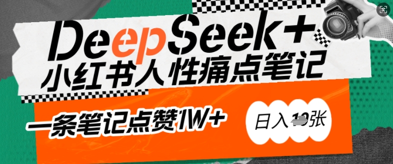 小白逆袭！AI 借 DeepSeek 深挖痛点，小红书笔记点赞破万，日赚盆满钵满_在线视频课程下载-51分享网
