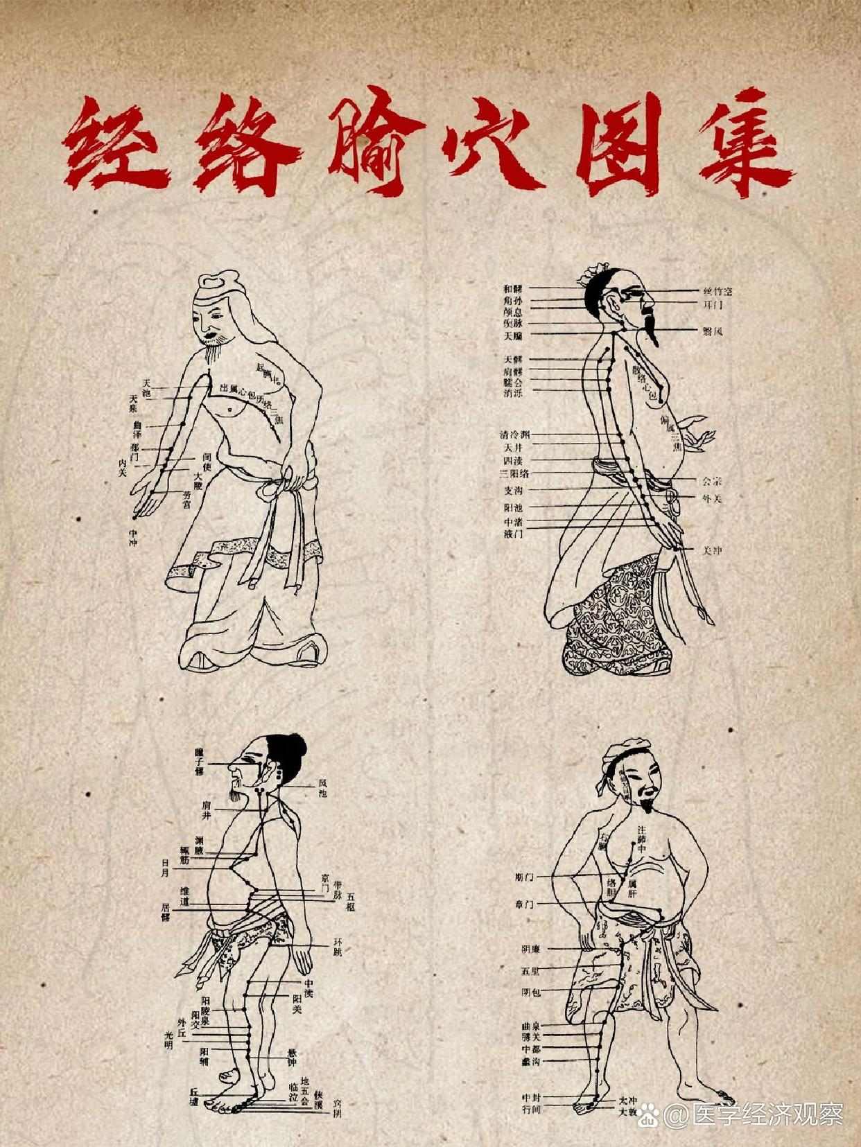医承有道学堂力作：中医人专属经络课，深度解锁经络穴位奥秘_在线视频课程下载-51分享网