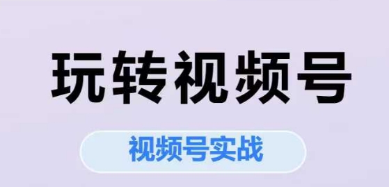 视频号实战全攻略：从0到1玩转平台，流量爆款+商业变现的系统方法论_在线视频课程下载-51分享网