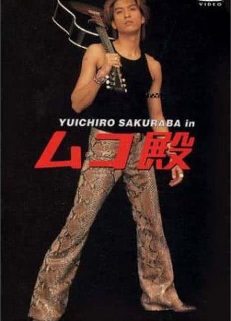 《女婿大人》百度云网盘夸克下载.阿里云盘.中字.(2001)_在线视频课程下载-51分享网