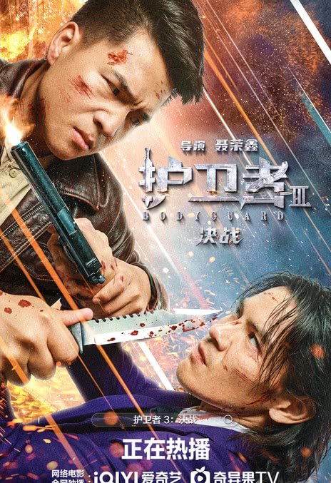 《护卫者3：决战》免费在线观看.网盘资源下载.国语中字.(2025)_在线视频课程下载-51分享网