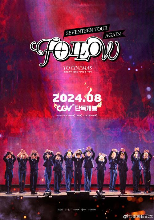 《Seventeen Tour ‘Follow’ Again to Cinemas》免费在线观看.网盘资源下载.韩语中字._在线视频课程下载-51分享网