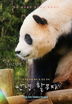 《再见，福宝》免费在线观看.网盘资源下载.韩语中字.(2024)_在线视频课程下载-51分享网