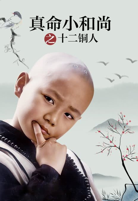 《真命小和尚之十二铜人》免费在线观看.网盘资源下载.中字.(1997)_在线视频课程下载-51分享网