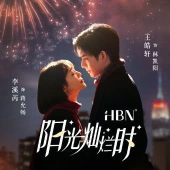 《阳光灿烂时》免费在线观看.网盘资源下载.国语中字.(2025)_在线视频课程下载-51分享网