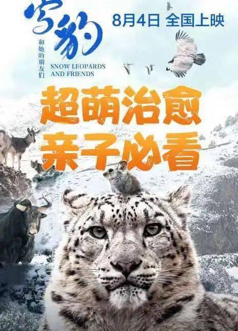 《雪豹和她的朋友们》免费在线观看.网盘资源下载.国语中字.(2023)_在线视频课程下载-51分享网