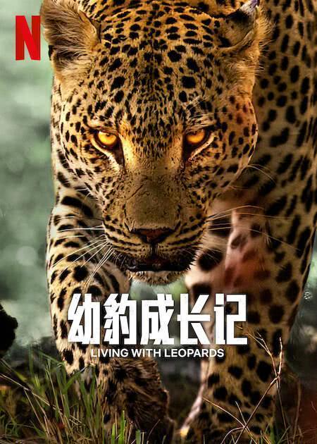 《幼豹成长记》免费在线观看.网盘资源下载.英语中字.(2024)_在线视频课程下载-51分享网