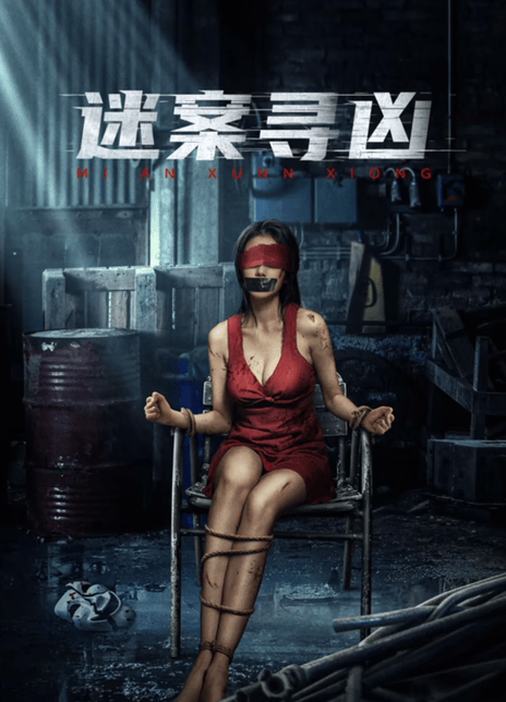 《迷案寻凶》免费在线观看.网盘资源下载.国语中字.(2024)_在线视频课程下载-51分享网