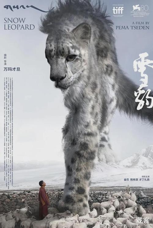 《雪豹》百度云网盘阿里下载[MP4/mkv]国语中字（2023）_在线视频课程下载-51分享网