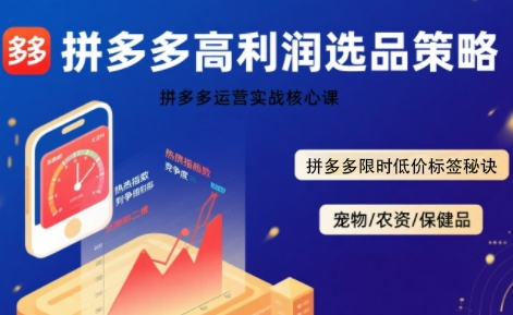 久号老师·拼多多选品暴利技术实战课，拼多多高利润选品策略，拼多多限时低价标签秘诀_在线视频课程下载-51分享网