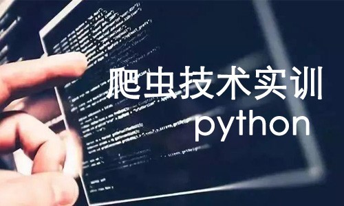 python爬虫技术实训视频教程_在线视频课程下载-51分享网