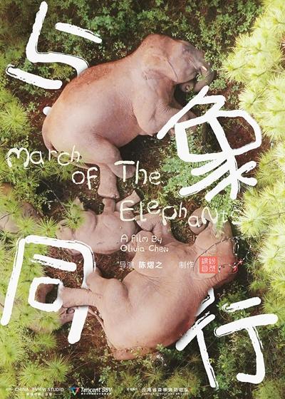 《与象同行》免费在线观看.网盘资源下载.国语中字.(2022)_在线视频课程下载-51分享网